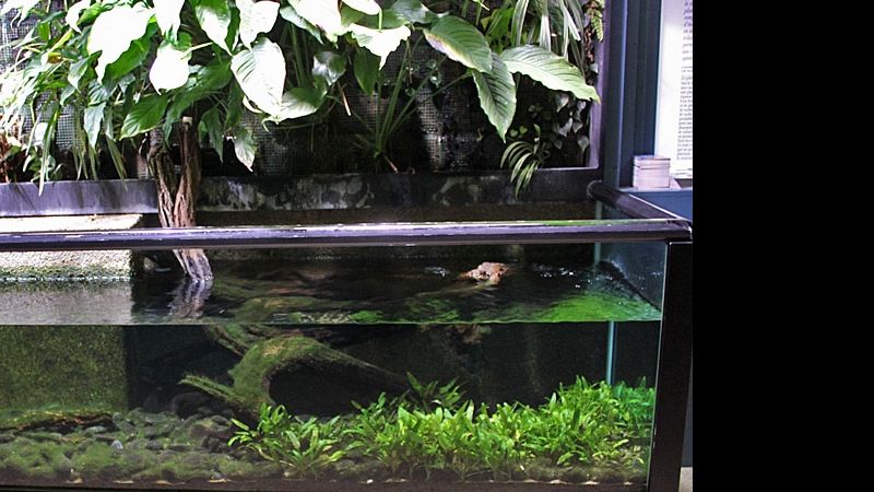 Fotorelacja z paryskiego Aquarium tropical de la Porte Dorée 