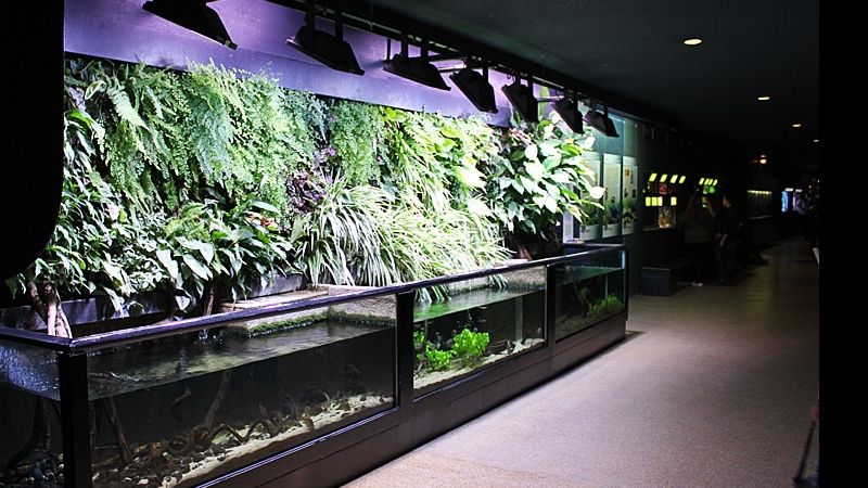 Fotorelacja z paryskiego Aquarium tropical de la Porte Dorée 