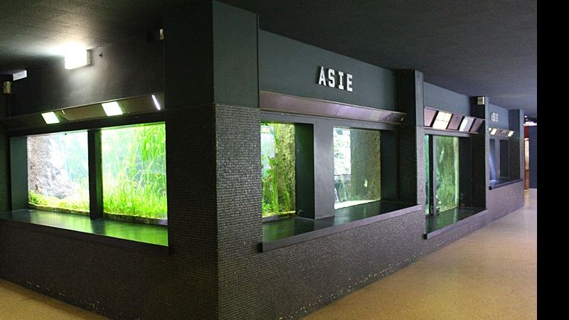 Fotorelacja z paryskiego Aquarium tropical de la Porte Dorée 