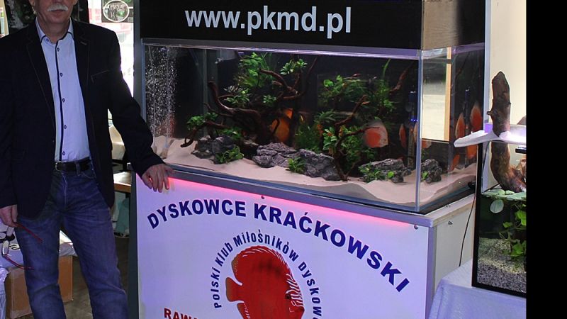 Akcenty akwarystyki roślinnej na Wystawie Aquajura 2016