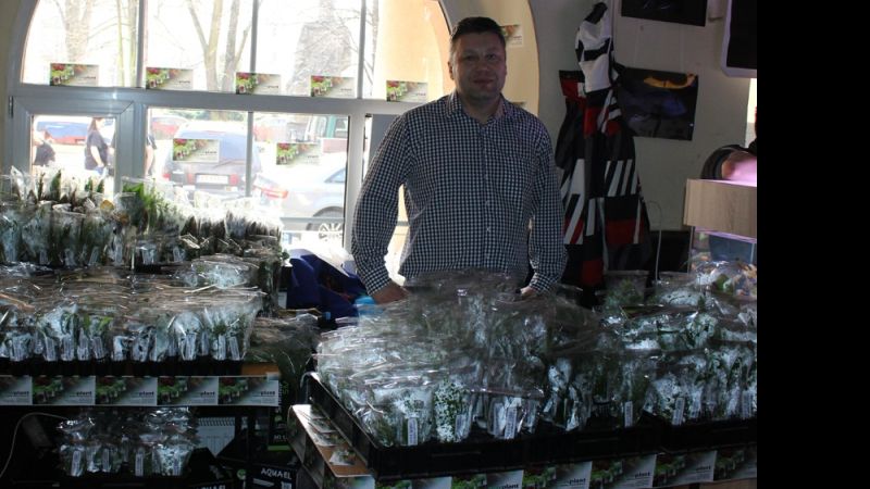 Akcenty akwarystyki roślinnej na Wystawie Aquajura 2016