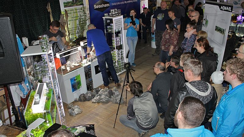 Akcenty akwarystyki roślinnej na Wystawie Aquajura 2016