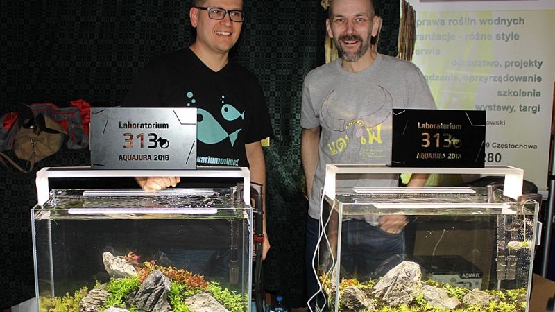 Akcenty akwarystyki roślinnej na Wystawie Aquajura 2016