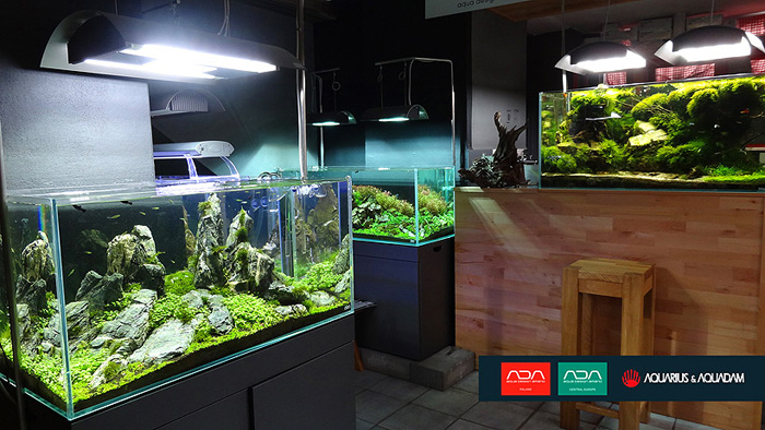 ADA Idea Studio