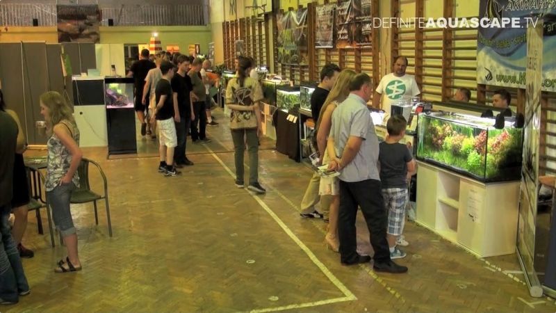 IX Śląski Weekend Akwarystyczny - wideorelacja