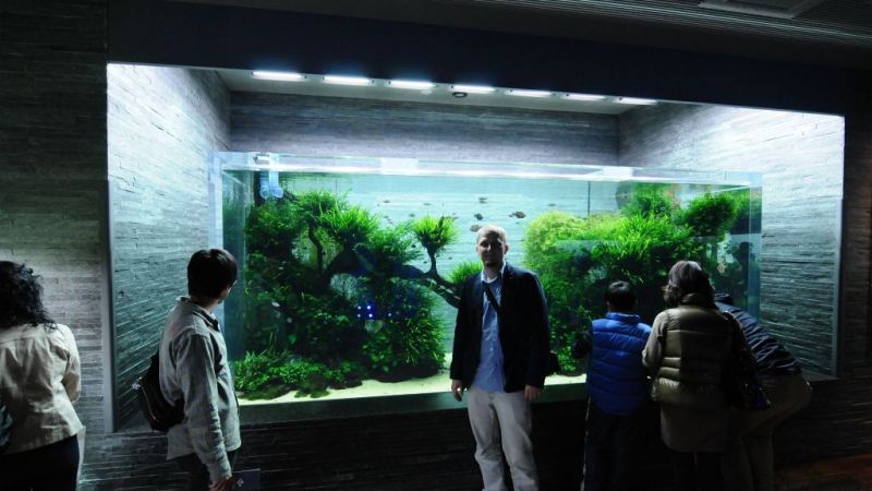 Fotorelacja z Sumida Aquarium