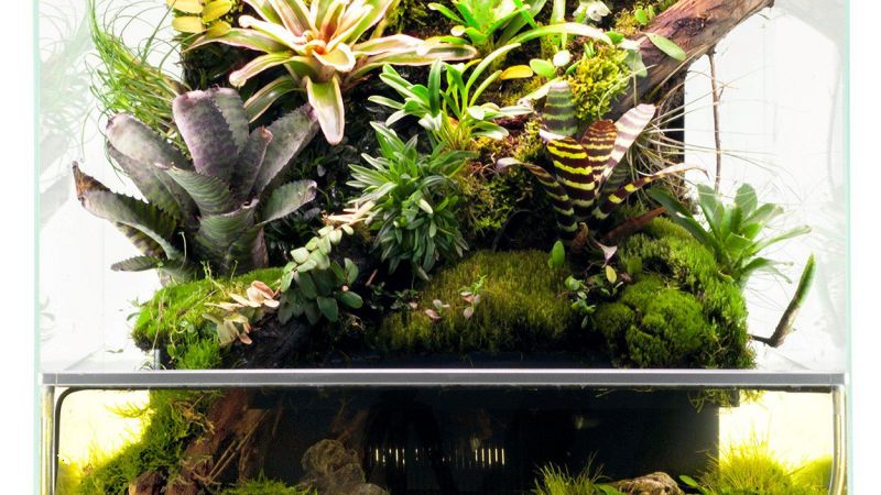 Biopod - ciekawy projekt z kickstartera