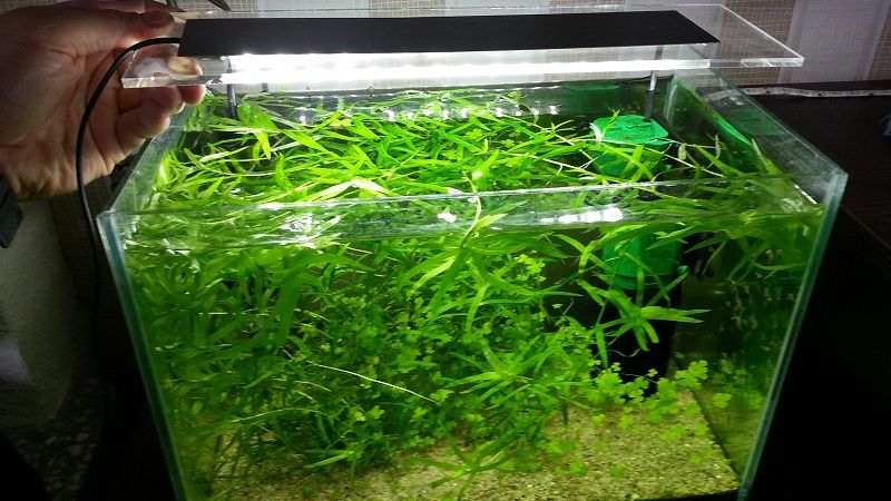 Lampa LED stylizowana na ADA AQUASKY