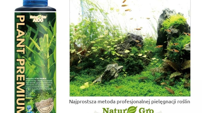 AZOO Plant Premium - ankieta