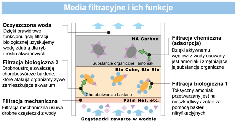 Filtracja w akwarium roślinnym
