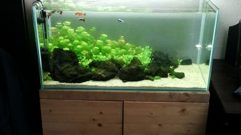 112l - "Lost Island" Paweł Rygol