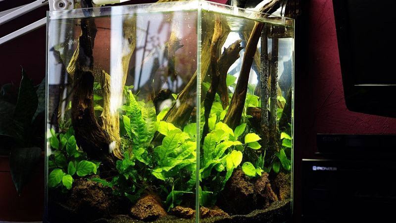 027l - Cube in Nature - msnolan