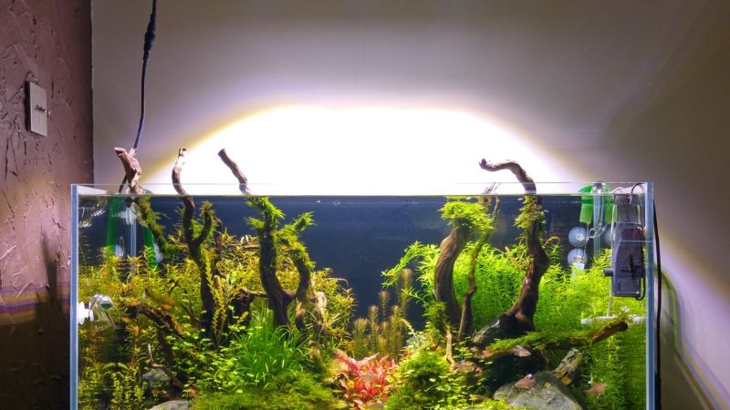 182l - AquaFit23 
