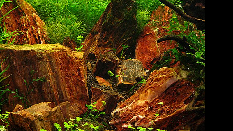 200l - Burnt Rocks Hill - Adam Waśniewski