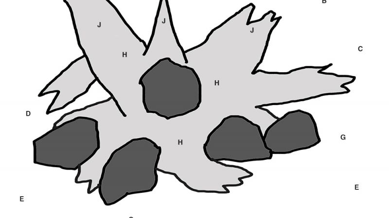 027l - George Farmer 