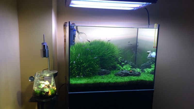 121l - Akwarium 60x45x45 - OptiWhite