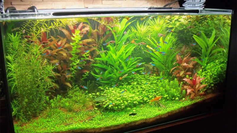 250l - Mateusz J