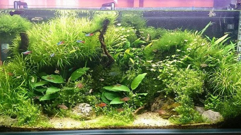 300l - Natura - mjadach