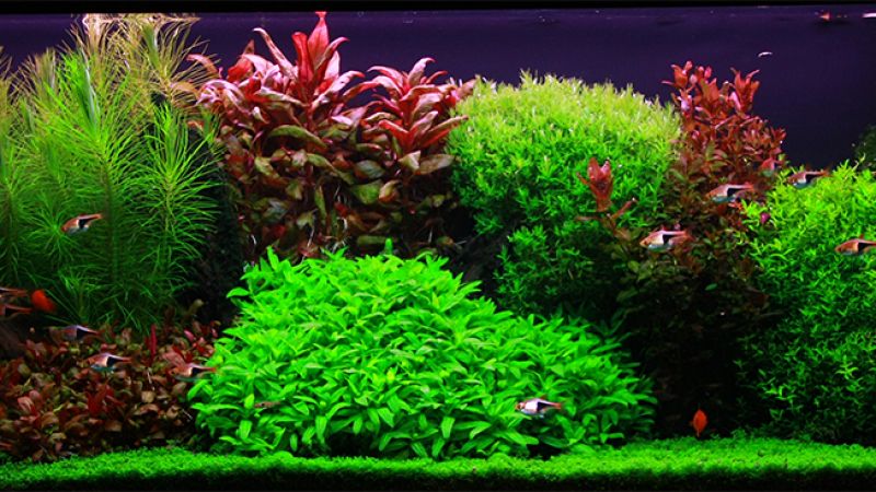 120l - Marcin Kowalski