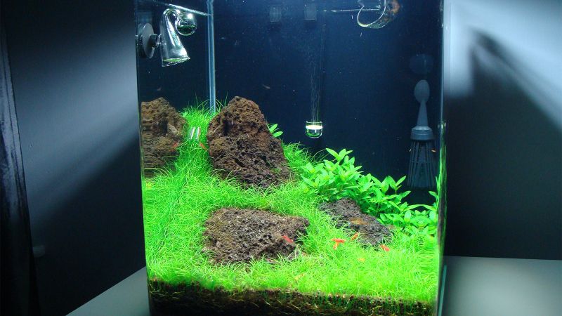 031l - Nano Cube