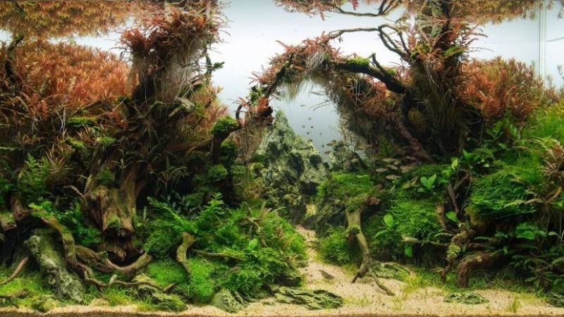 360l - Piotr Dymowski - October Twillight