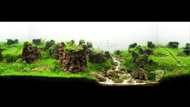 360l - Reborn - Piotr Dymowski
