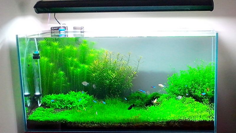 250l - Jonny156