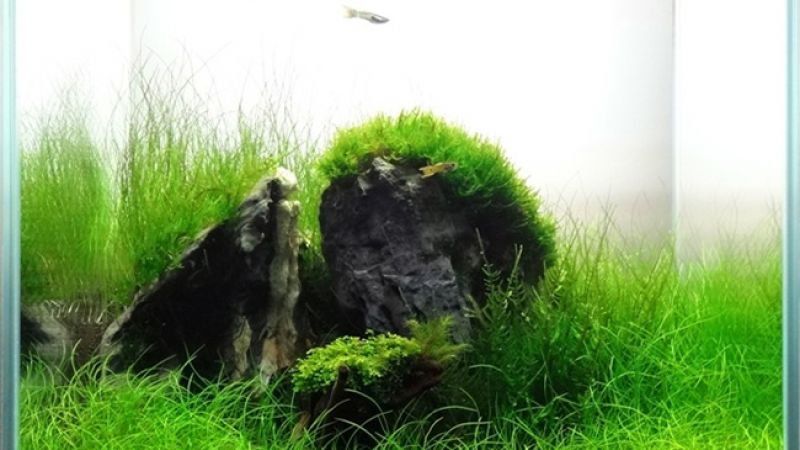 043l - Salonowy Cube - Bu7i