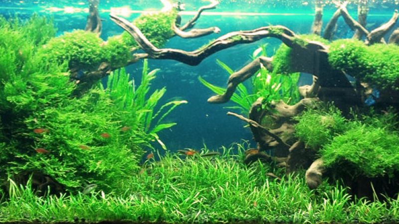 160l - Sebastian Klimer