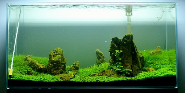 180l - Steril