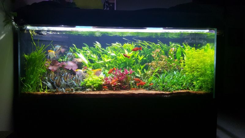 882l - yoyi 
