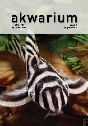 Aktualne publikacje Magazynu Akwarium