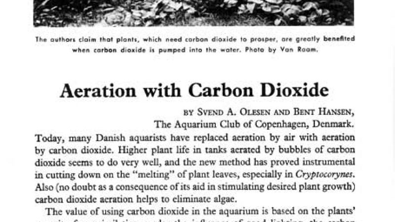 Historia: od kiedy stosuje się CO2 w akwarium?