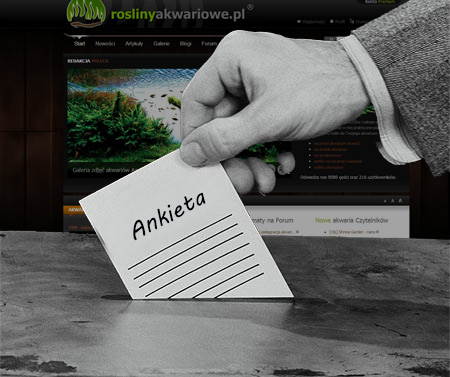 Ankieta: nasze źródła informacji o produktach