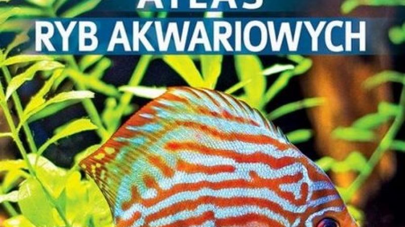 Atlas ryb akwariowych - Maja Prusińska