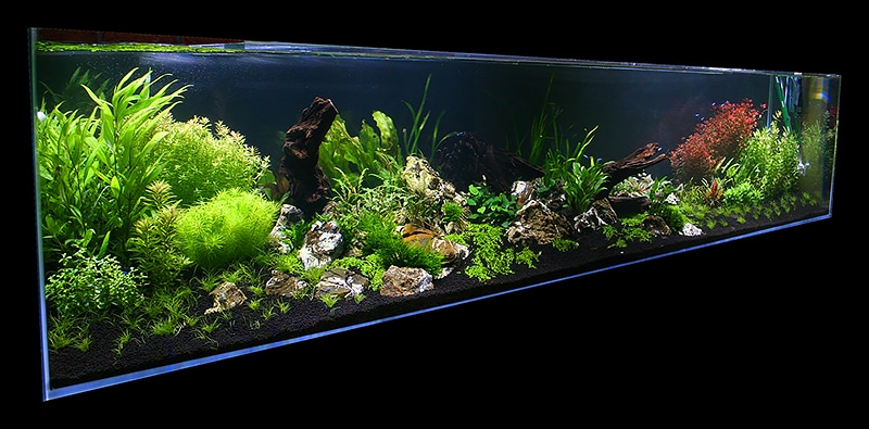 Aktualizacja akwarium 1260l