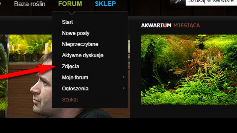 Nowa funkcjonalność - zdjęcia z Forum