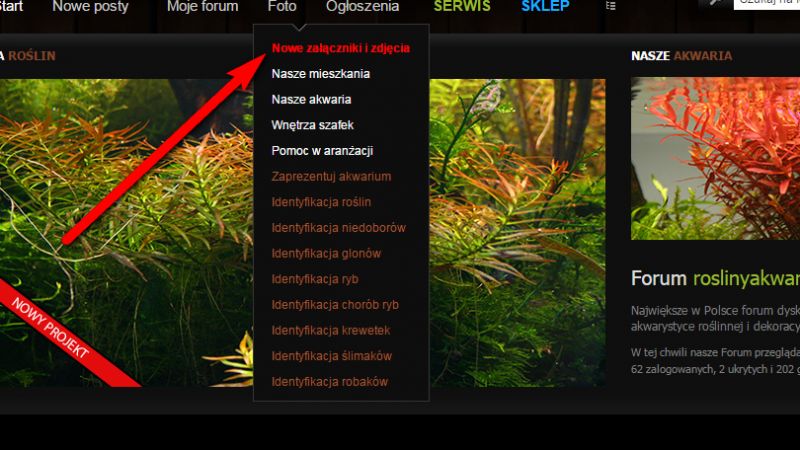 Nowa funkcjonalność - zdjęcia z Forum