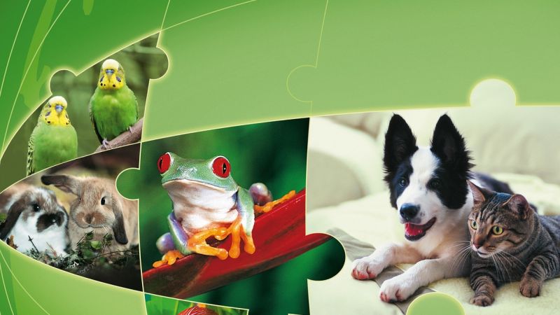 Interzoo 2016 - największa światowa wystawa zoologiczna