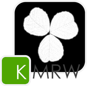 Konkurs na logo KMRW - ankieta
