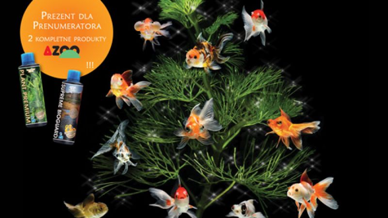 Magazyn Akwarium nr 12/2013