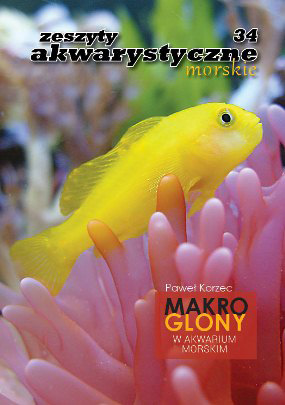 Magazyn Akwarium nr 10/2012 z artykułem nawiązującym do akwarystyki roślinnej