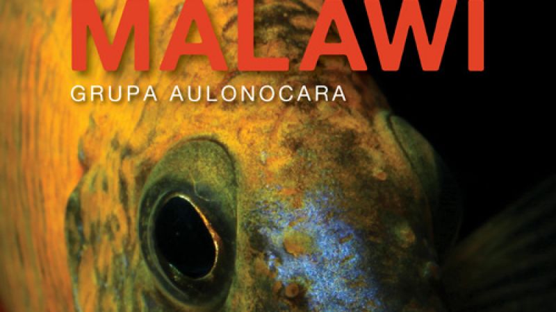 Magazyn Akwarium nr 12/2013