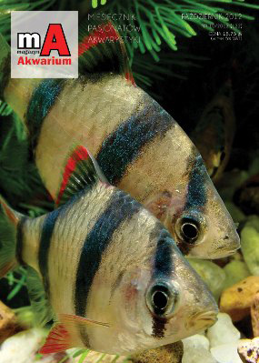 Magazyn Akwarium nr 10/2012 z artykułem nawiązującym do akwarystyki roślinnej
