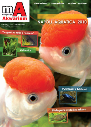 Magazyn Akwarium nr 6/2011 (107)
