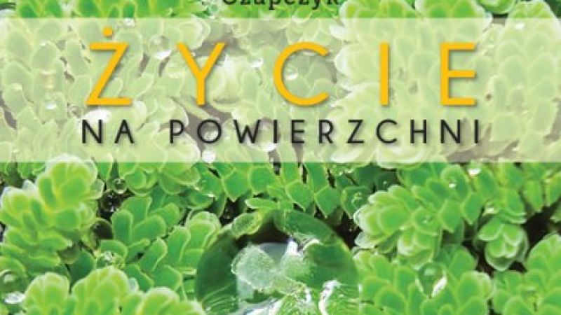 Magazyn Akwarium nr 10/2013 (133)