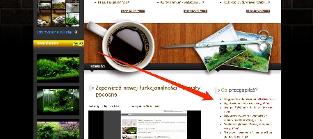 Nowy moduł na stronie - co przegapiłeś?