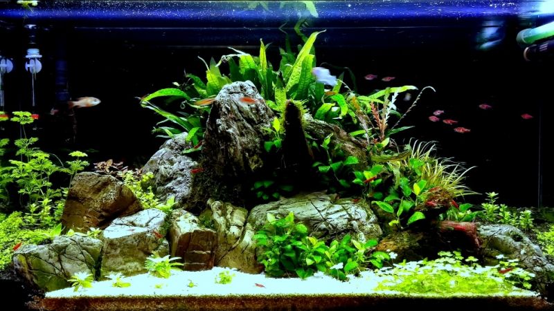 112l - Powrót do hobby - sliwek898 