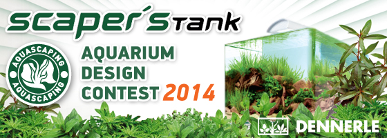 Scapers Tank Contest 2014