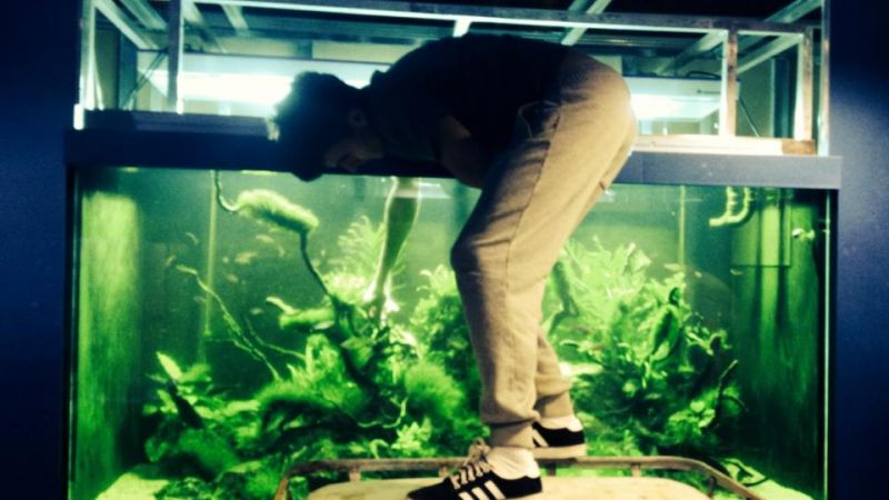 Polskie Sumida Aquarium